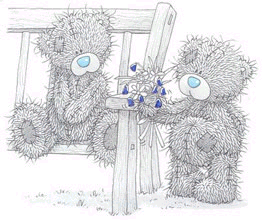 teddy2.jpeg